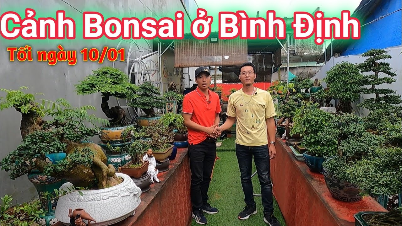 Clip Đặc Biệt tham quan vườn cây Mini tuyệt đẹp của Cảnh Bonsai ở ...