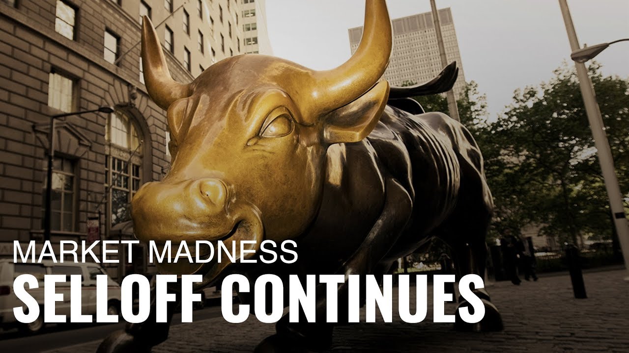 Market Madness: Run, Bull, Run Market Madness: Run, Bull, Run