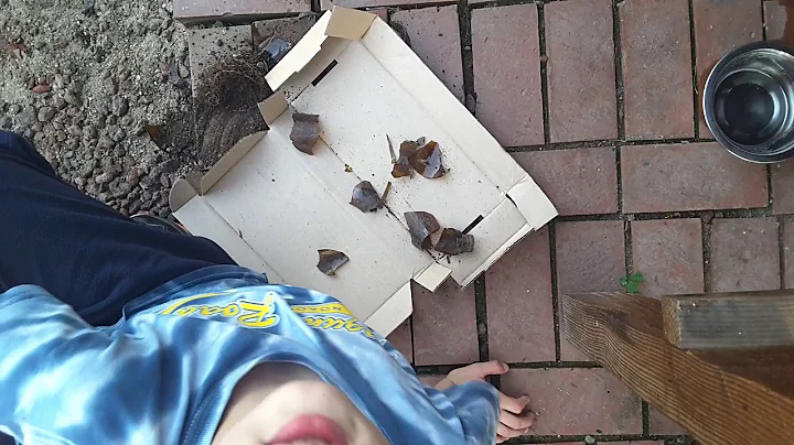 MY first video | yea, I don't know what to call this video