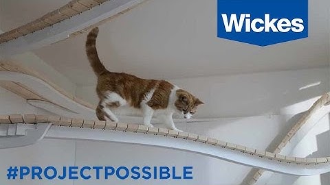 Wickes #ProjectPossible: Timber, Meet Alex