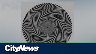 Celebrity Optical illusion confuses internet users Profile