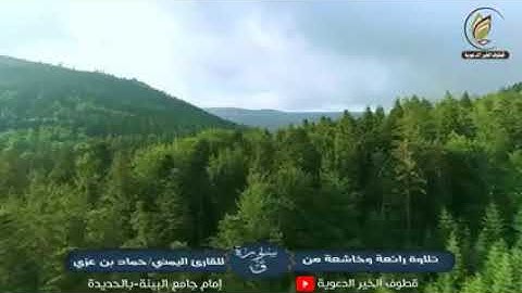 القارئ/حماد بن عزي وفقه الله||تلاوة راااائعة وخاشعة جداا..||مسجد البينة-الحديدة