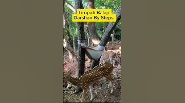 Thumbnail of Spoted Deer #tirupati #tirupatibalaji #temple #bhromonbangali