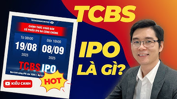 IPO Là Gì? Có Nên Mua Cổ Phiếu TCBS IPO Và Hướng Dẫn Đặt Mua | Kiều Canh