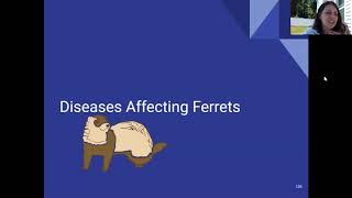 Animal Science II - Small Animal Remote Learning Day 11 by Breanna Saunders 10 views 4 years ago 27 minutes