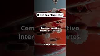 O Que São Plaquetas?