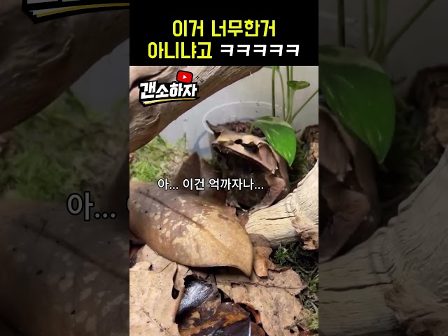 이거 너무한거 아니냐고!! ㅋㅋㅋㅋㅋㅋㅋㅋ