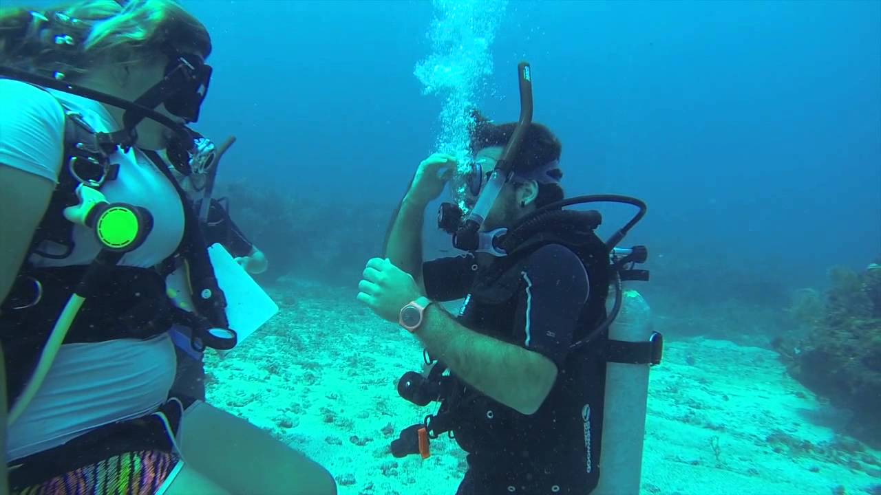 Dive Little Corn Island YouTube