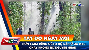Hơn 1,5ha rừng của 3 hộ dân ở Cà Mau cháy không rõ nguyên nhân | Cần Thơ TV