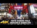 Walking in Tokyo - Shinjuku and Kabukicho during blue hour - 4K