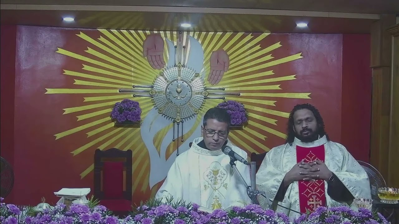 Mary Mother of God| Fr Sebastian Baby OCD Avila Sadan