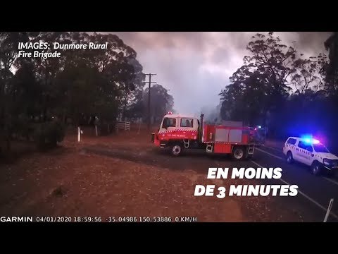 Vidéo: Un Pompier Qui éteint La Forêt Rencontre Un Yéti Agressif