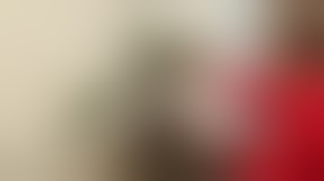 How to create Bonsai from Needle Juniper