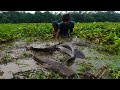Traditional Hand Fishing 2022| Smart Boy Catch Big Catfish By Hand In River Removes Water Hyacinth