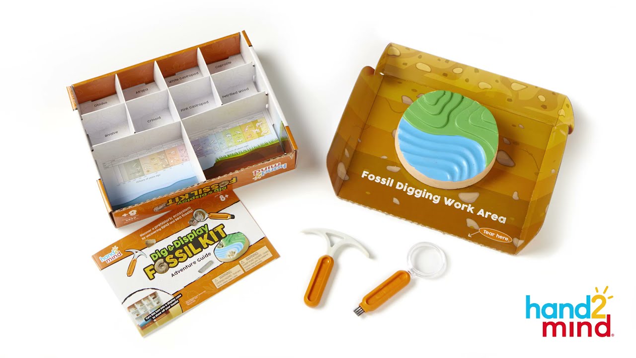 CONTAINS 8 FOSSILS Details about HAND2MIND DIG & DISPLAY FOSSIL KIT CONTAINS 8 FOSSILS Details about HAND2MIND DIG & DISPLAY FOSSIL KIT