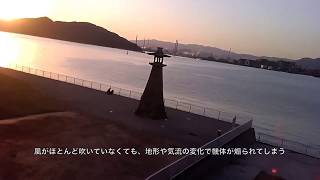 格安ドローンを初心者が空撮してみた晴海親水公園編！DJI Mavic Miniと比べて感じた事 #YuAiru #VISUO #YA #DJI