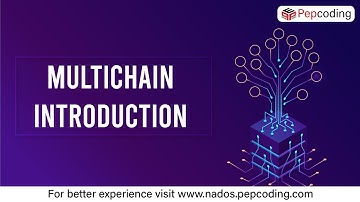 Multichain Introduction | Blockchain | In Hindi
