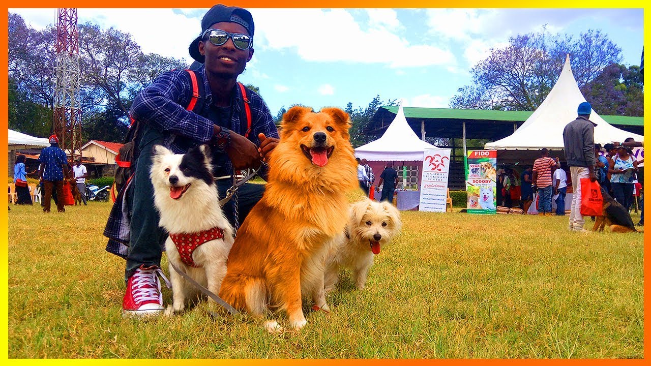Nakuru Pets Festival season 2 2018