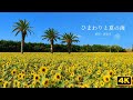 海とひまわりの夏|愛知・田原市【4K】Summer by the Sea &amp; Sunflowers #japan #伊良湖 #beach #癒し  #自然の音 