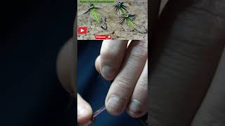 Mastering The Watery Olive Greenwells Spider Fly Tying Tutorial With Leland Fly Fishing