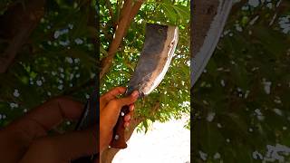 Butcher Cleaver Sharpening Process #shortsfeed #shorts #KnifeSharpening #BladeRestoration