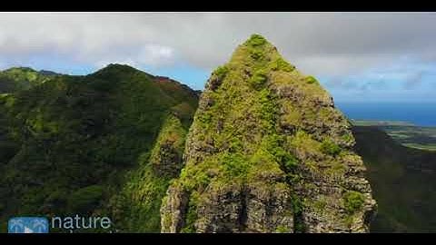 سورة يوسف ( 7- 42 ) بصوت مؤيد المزين Surah Yusuf by Mu'ayyid al-Mazen