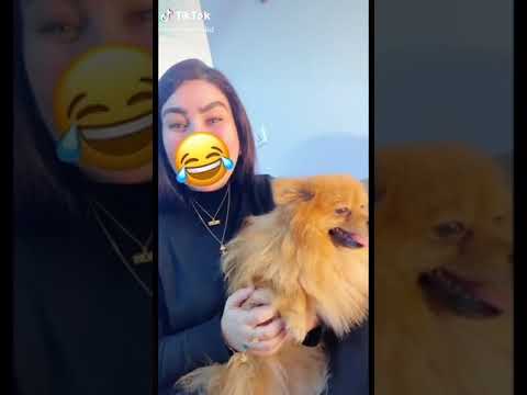 يهل الولد يهل الولد ماكو بجمالك بل بلد جميع مقاطع المهندسه زوزان كامله جديد 