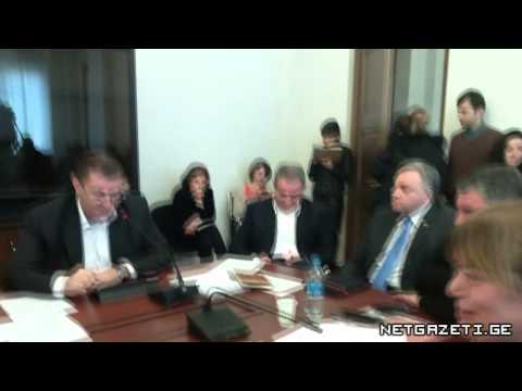 \"ივანიშვილთან ხეების გახარების შანსი გაცილებით მაღალია\"