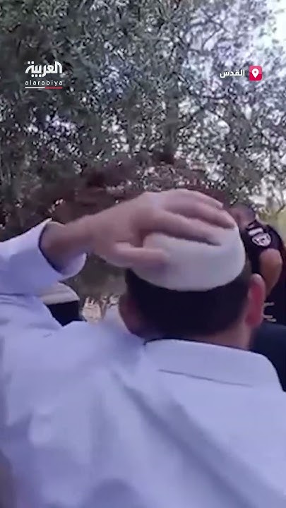             - -
 - نشر قبل 3 ساعة