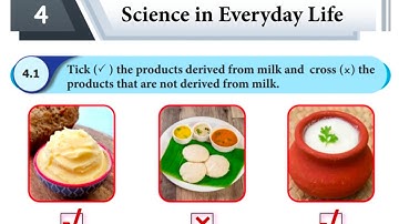 4th std Science Term 1 unit 4 workbook answers/ Science in Everyday life 2025
