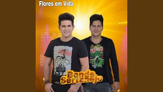 Flores em Vida