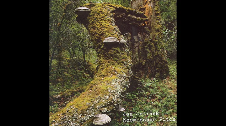 Jan Jelinek  Kosmischer Pitch (2005, Germany) [Ful...