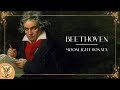 Ludwig van Beethoven - Moonlight Sonata