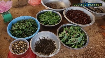 Chợ côn trùng Nà Si (Hát Lót, Mai Sơn, Sơn La) của người Thái đen | Do Quang Tuan Hoang