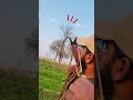 🎯 Bird Hunted with a Perfect Slingshot Shot #DesiHunting#TargetShot#WildBird#HunterLife#Shorts