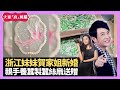 羅泳嫻做伴娘效率為先 浙江妹妹賀家姐新婚 親手養蠶製蠶絲扇送贈 - LIVE 大家真瘋Show 梁思浩 李思蓓 裸泳羅泳嫻 20230724 4K