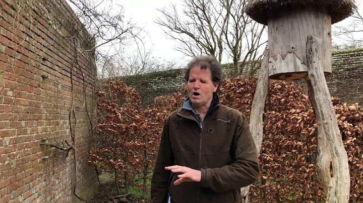 Rewilding with Tom Stuart-Smith, Knepp Walled Garden