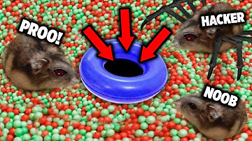 🐹Hamster NOOB vs PRO vs HAKCER Escapes from Mazes