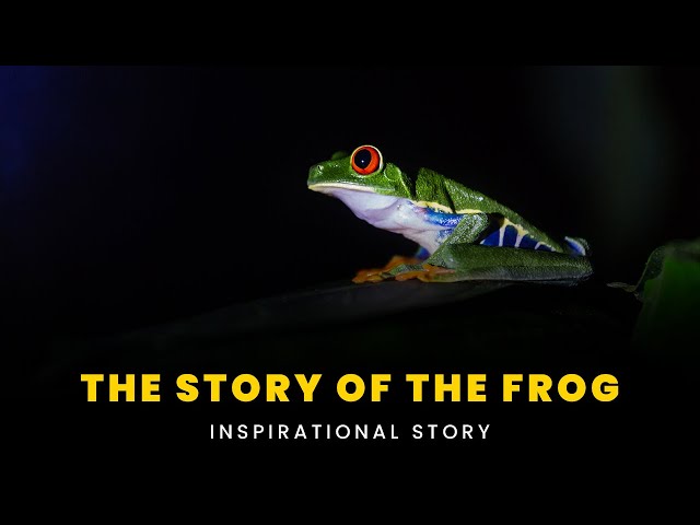 A True Story of Frog-Gigging and Disappointment