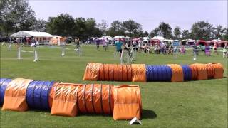 Kick Jumping 3 Jutlandia Cup 20150714 Denmark