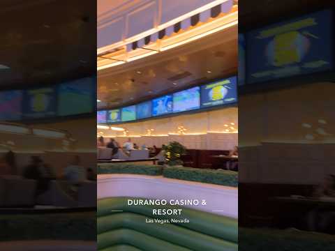 Casino Sport Bar City Forever