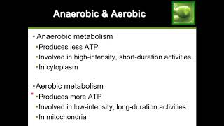 Anaerobic vs Aerobic Metabolism