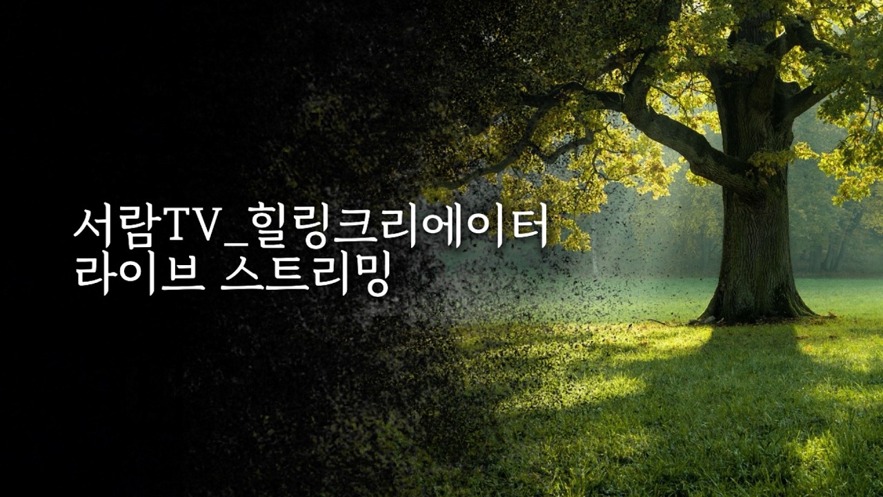 나르시시스트의 핵심특징(2026 최신버전).