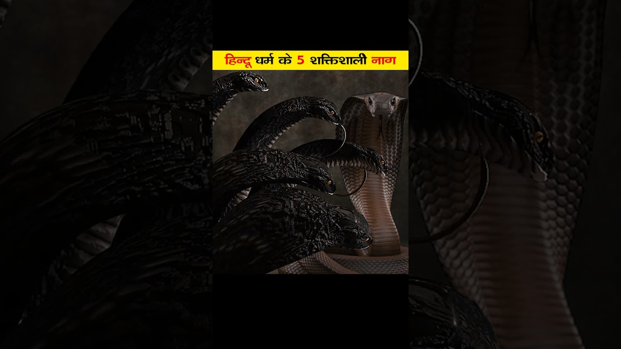 हिंदू धर्म के 5 सबसे शक्तिशाली नाग 😱😱😱 #shorts #naag #snakes