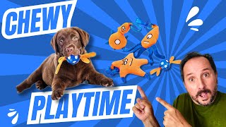 FROZEN PUPPY TOYS Review | Happy Paws! | Reviews Unscripted screenshot 4