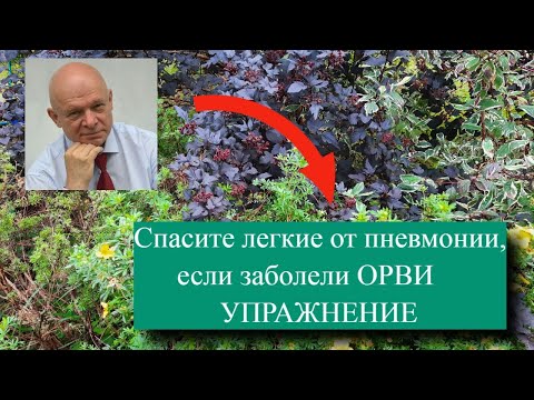 Гимнастика для укрепления легких