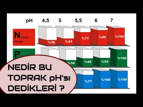 Video: Kireç toprak pH'ını nasıl artırır?