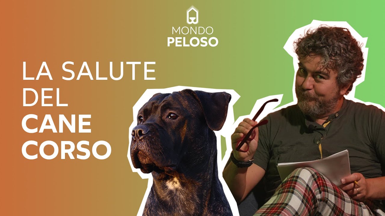La salute del Cane Corso