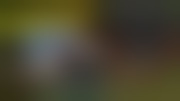 Diet Hoppers Mod 1.12.2/1.11.2/1.10.2 & How To Download and Install for Minecraft