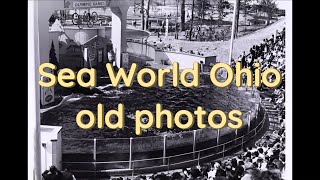 Sea World Ohio historical photos